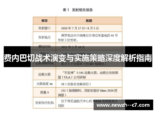 费内巴切战术演变与实施策略深度解析指南
