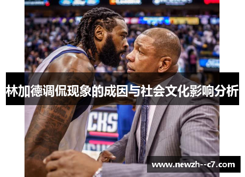 林加德调侃现象的成因与社会文化影响分析 林加德调侃现象的成因与社会文化影响分析