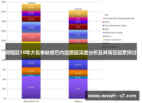 阿根廷10年大名单缺席巴内加原因深度分析及其背后因素探讨
